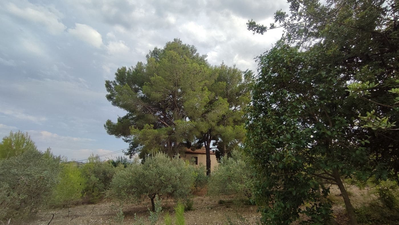 5 chambre Finca/Maison de Campagne à vendre à Valls avec garage - 195 000 € (Ref: 9617961)