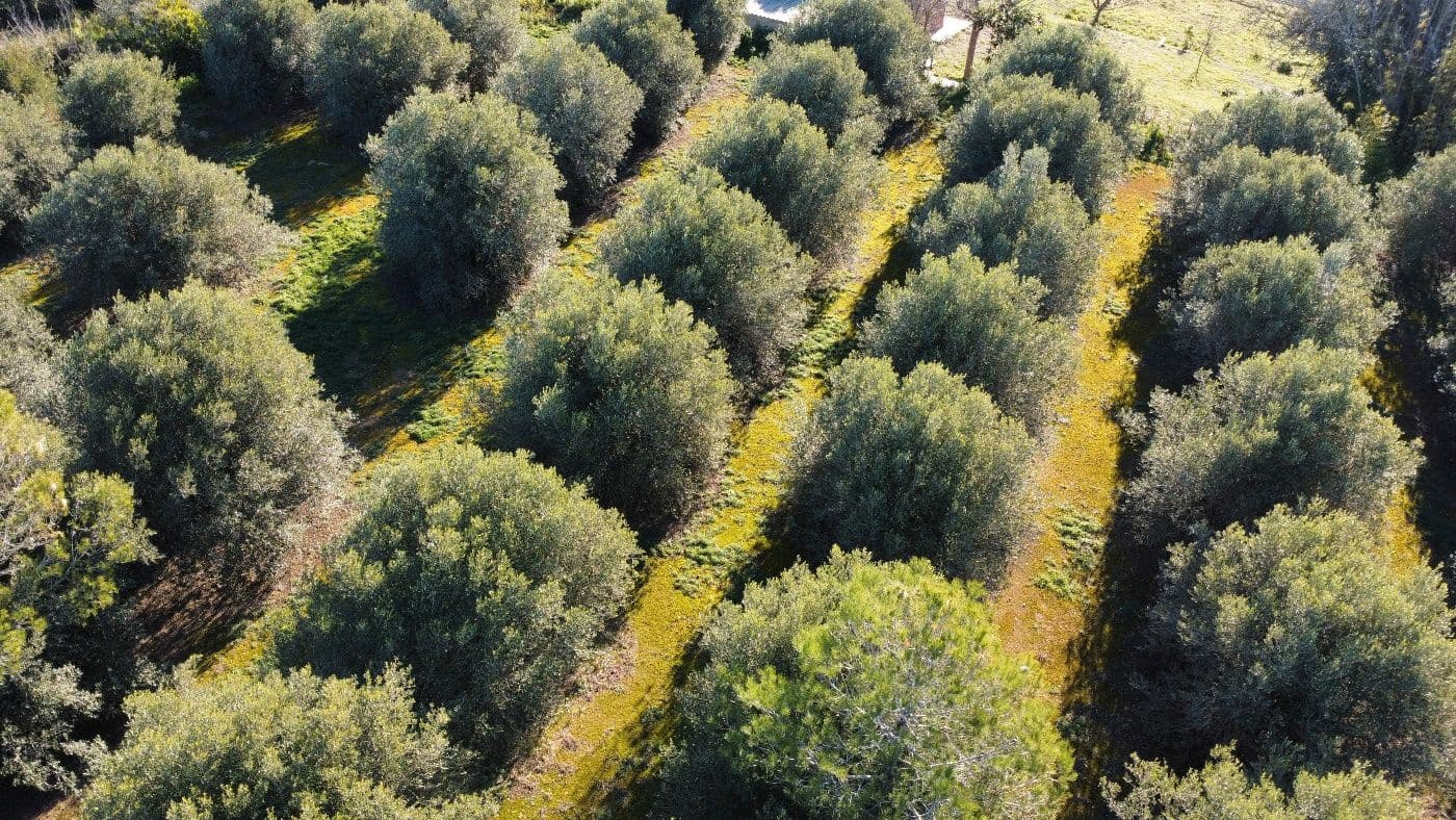 5 chambre Finca/Maison de Campagne à vendre à Valls avec garage - 195 000 € (Ref: 9617961)