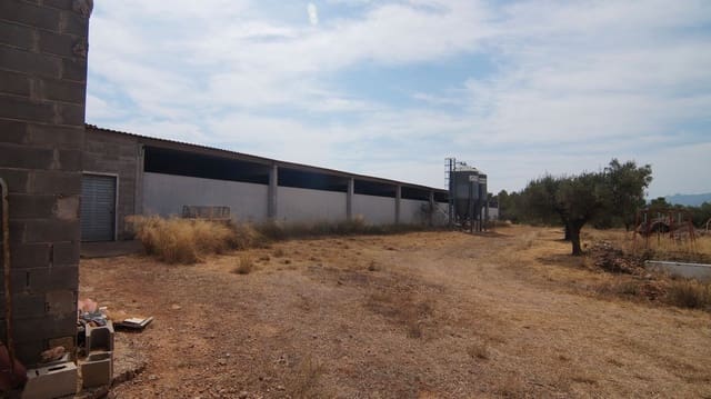 4 camera da letto Finca/Casa di Campagna in vendita in Tivissa - 350.000 € (Rif: 9617962)