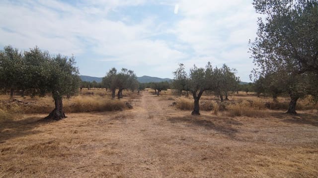 4 camera da letto Finca/Casa di Campagna in vendita in Tivissa - 350.000 € (Rif: 9617962)