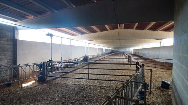 4 camera da letto Finca/Casa di Campagna in vendita in Tivissa - 350.000 € (Rif: 9617962)