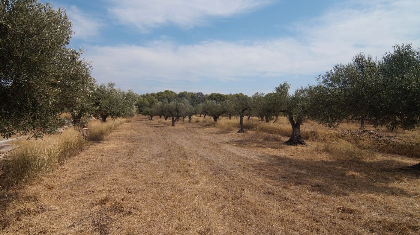 4 sovrum Finca/Hus på landet till salu i Tivissa - 350 000 € (Ref: 9617962)