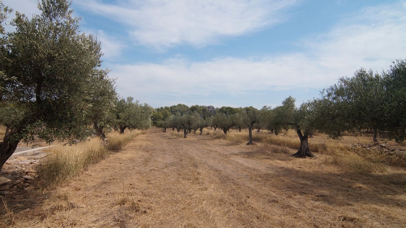 4 sovrum Finca/Hus på landet till salu i Tivissa - 350 000 € (Ref: 9617962)