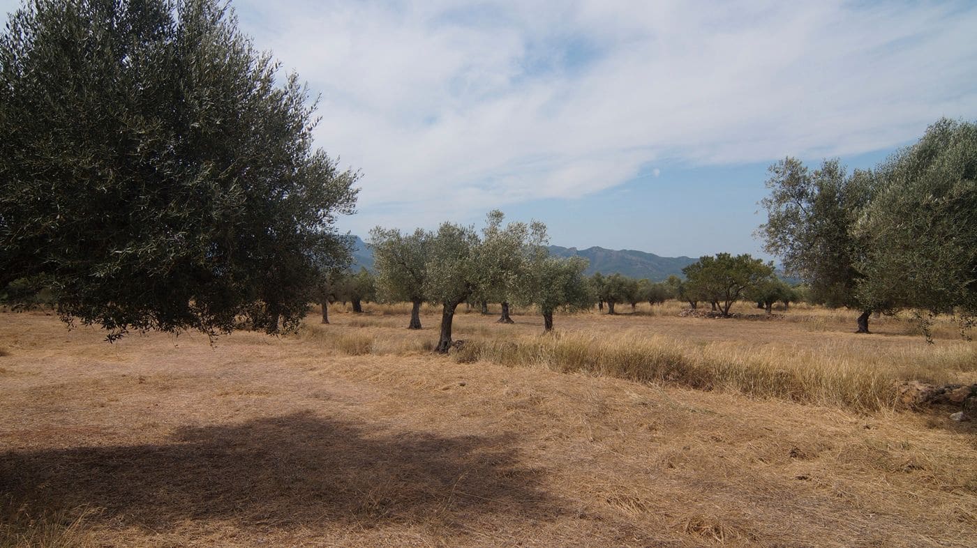 4 sovrum Finca/Hus på landet till salu i Tivissa - 350 000 € (Ref: 9617962)