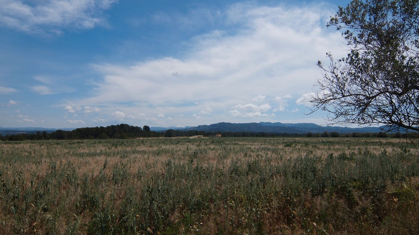 Finca/Herregård til salgs i Ginestar - € 230 000 (Ref: 9617963)