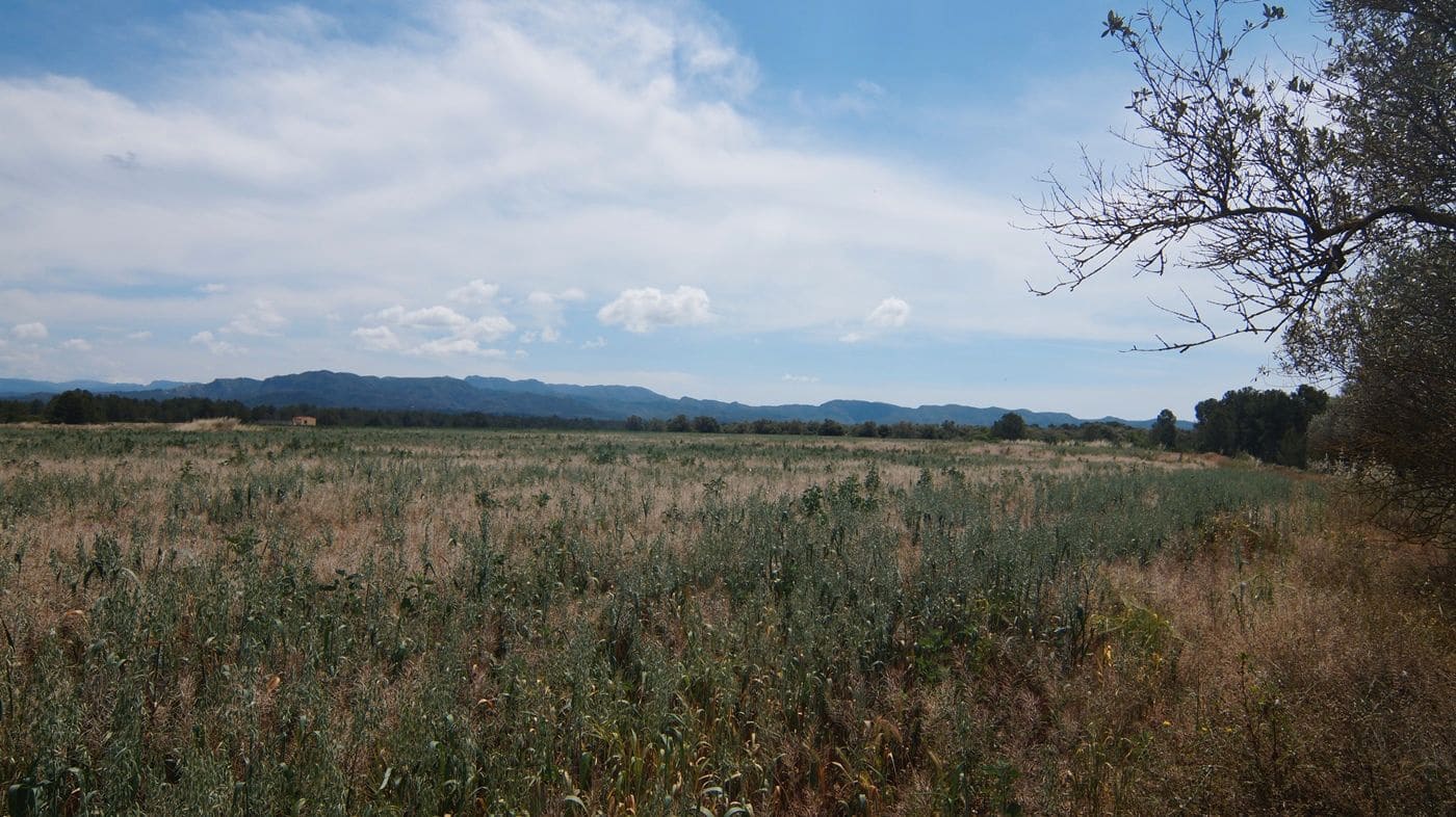 Finca/Herregård til salgs i Ginestar - € 230 000 (Ref: 9617963)