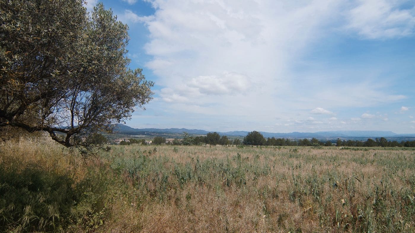 Finca/Herregård til salgs i Ginestar - € 230 000 (Ref: 9617963)