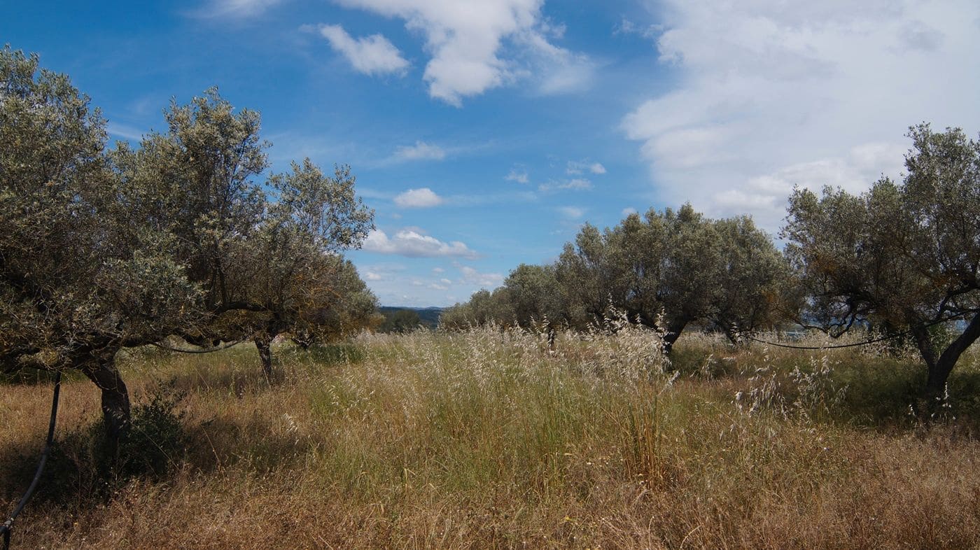 Finca/Herregård til salgs i Ginestar - € 230 000 (Ref: 9617963)