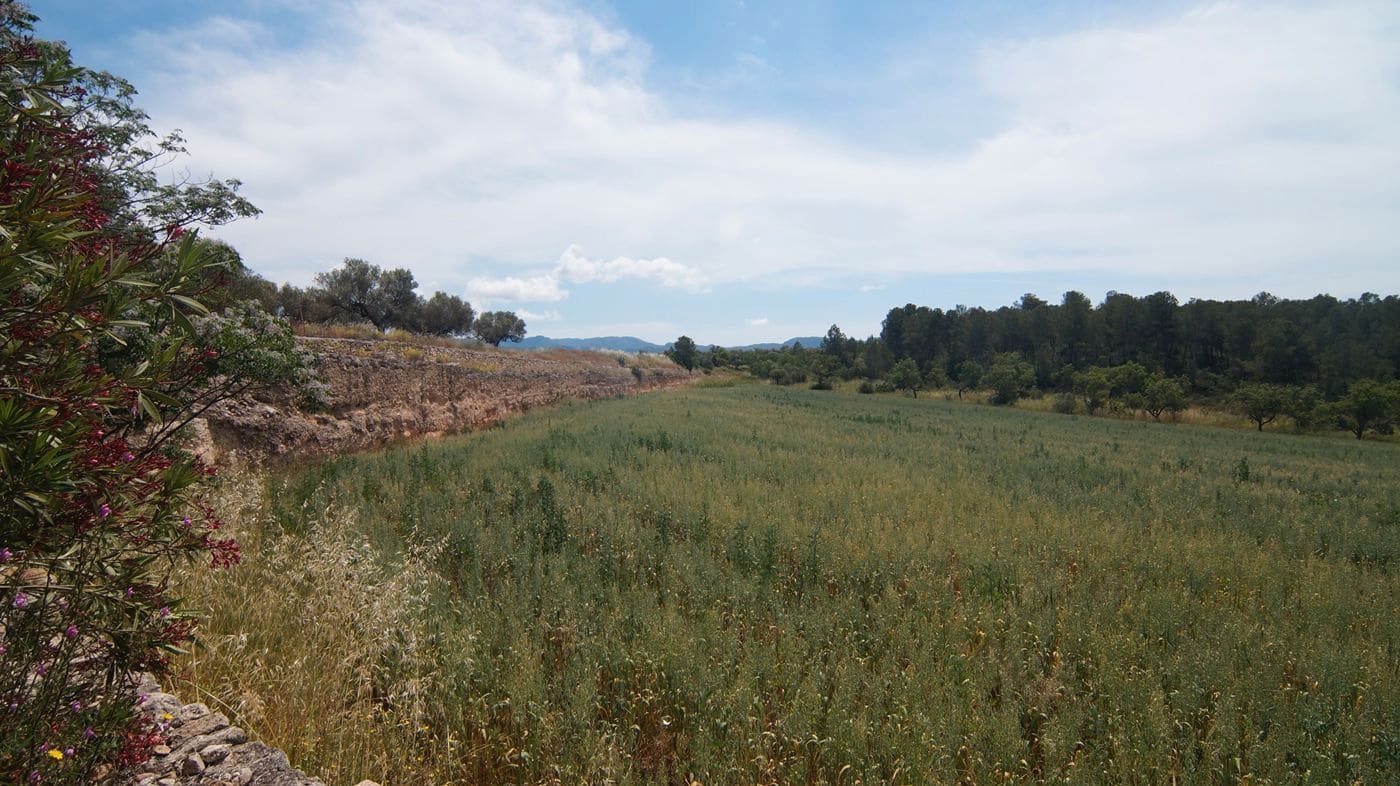 Finca/Herregård til salgs i Ginestar - € 230 000 (Ref: 9617963)