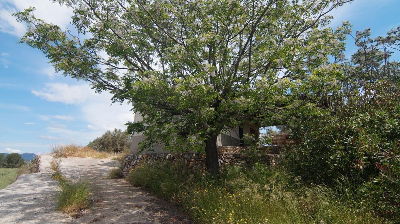 Finca/Herregård til salgs i Ginestar - € 230 000 (Ref: 9617963)