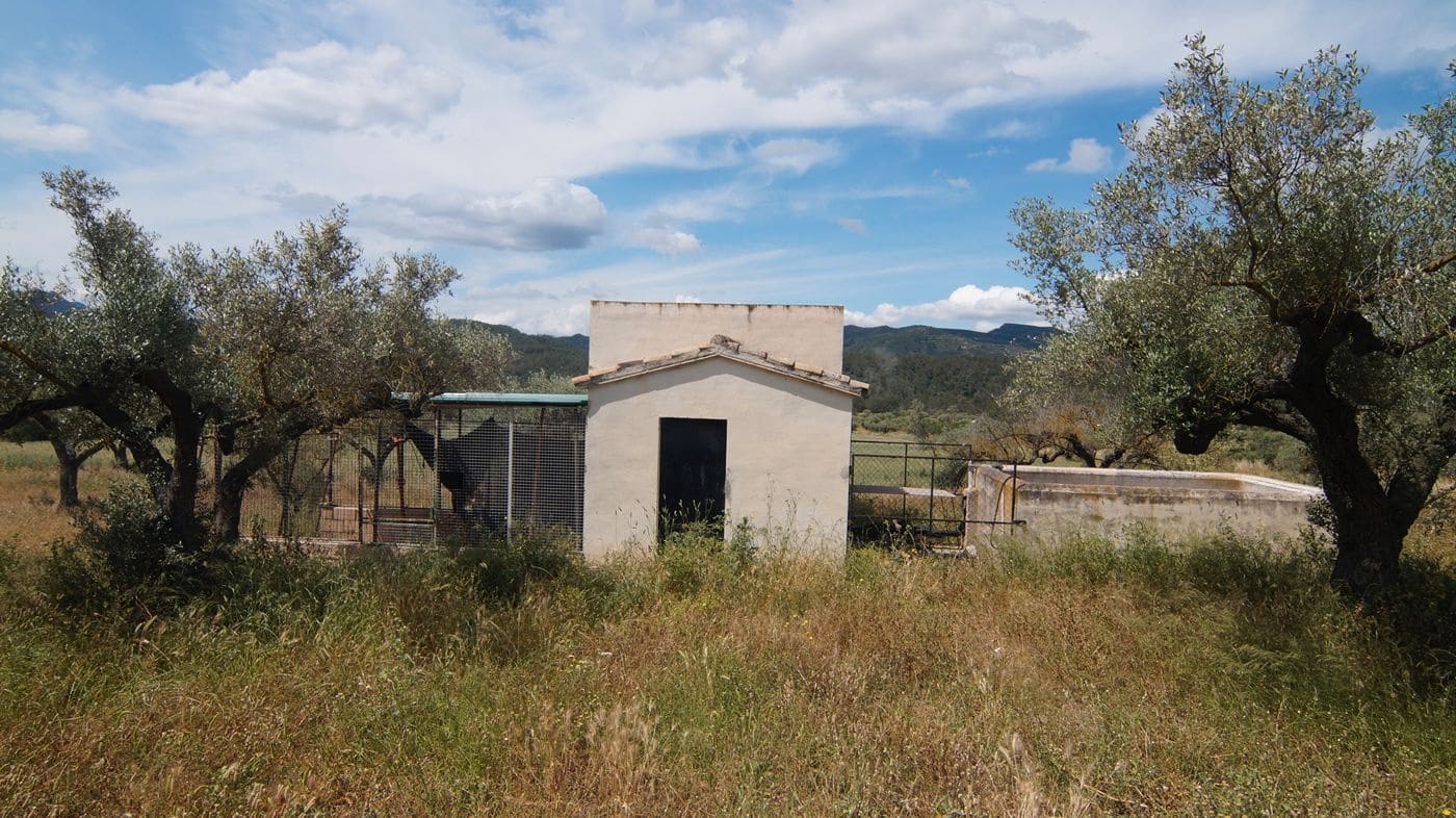 Finca/Herregård til salgs i Ginestar - € 230 000 (Ref: 9617963)