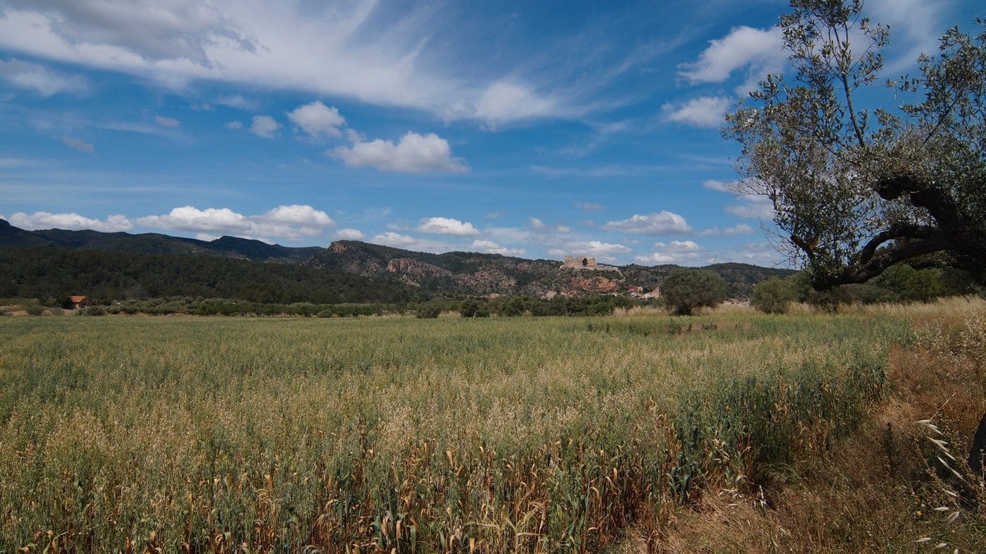 Finca/Herregård til salgs i Ginestar - € 230 000 (Ref: 9617963)