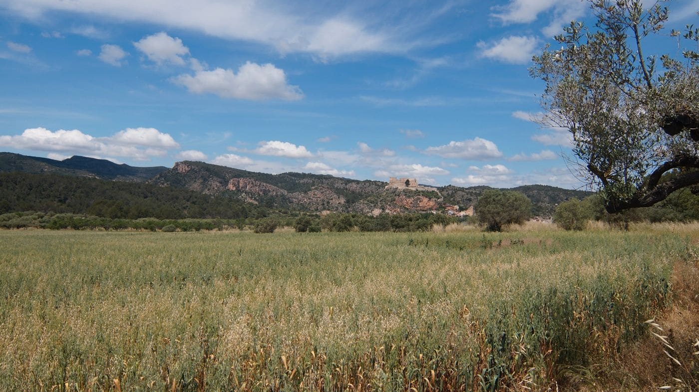 Finca/Herregård til salgs i Ginestar - € 230 000 (Ref: 9617963)