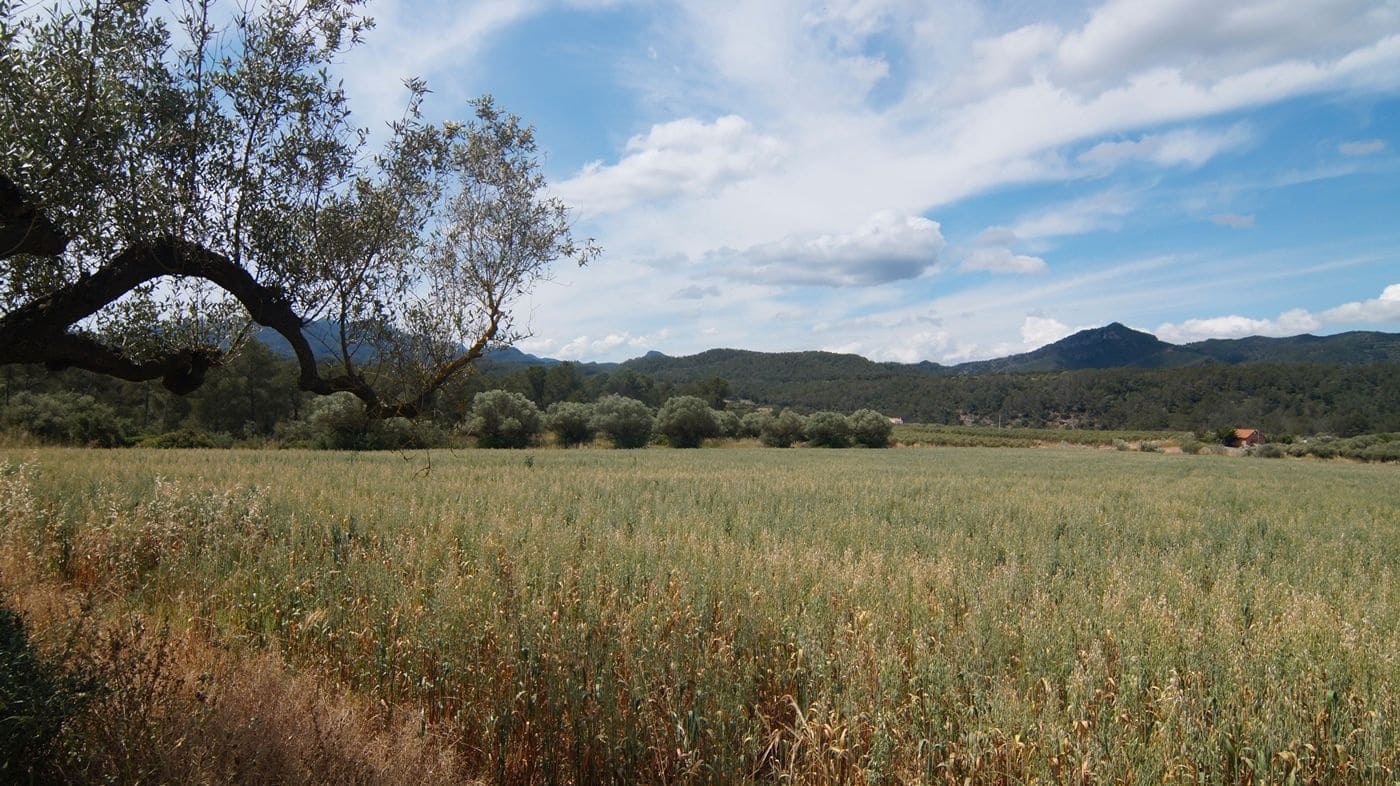 Finca/Herregård til salgs i Ginestar - € 230 000 (Ref: 9617963)