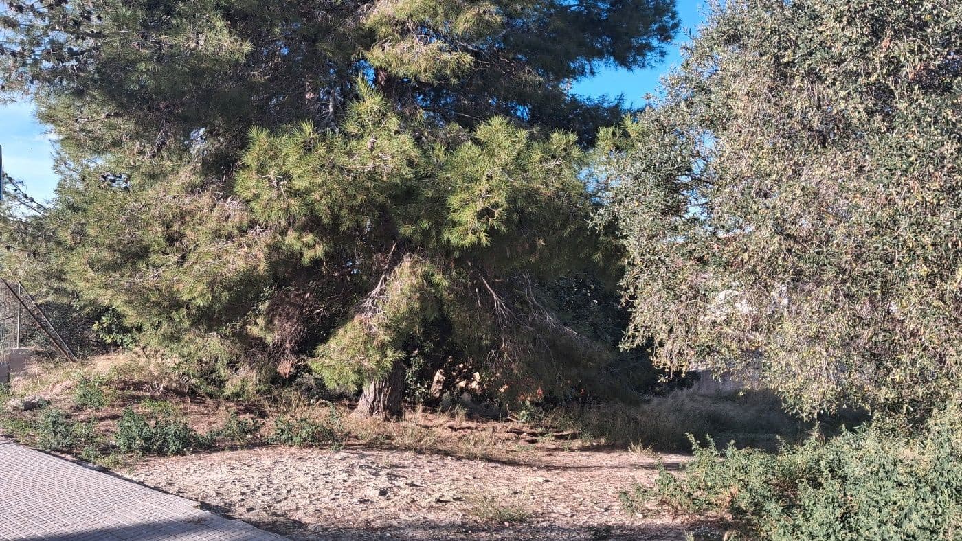 Bouwgrond te koop in La Secuita - € 240.000 (Ref: 9617965)