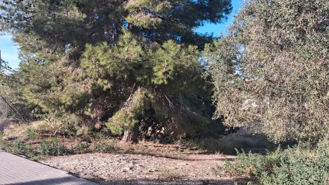 Byggegrund til salg i La Secuita - € 240.000 (Ref: 9617965)