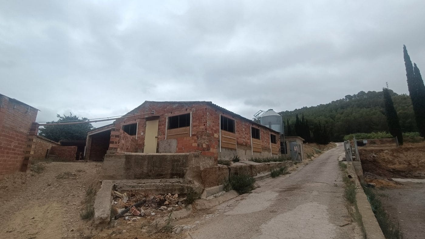 Commercial for sale in Tivissa - € 350,000 (Ref: 9617967)