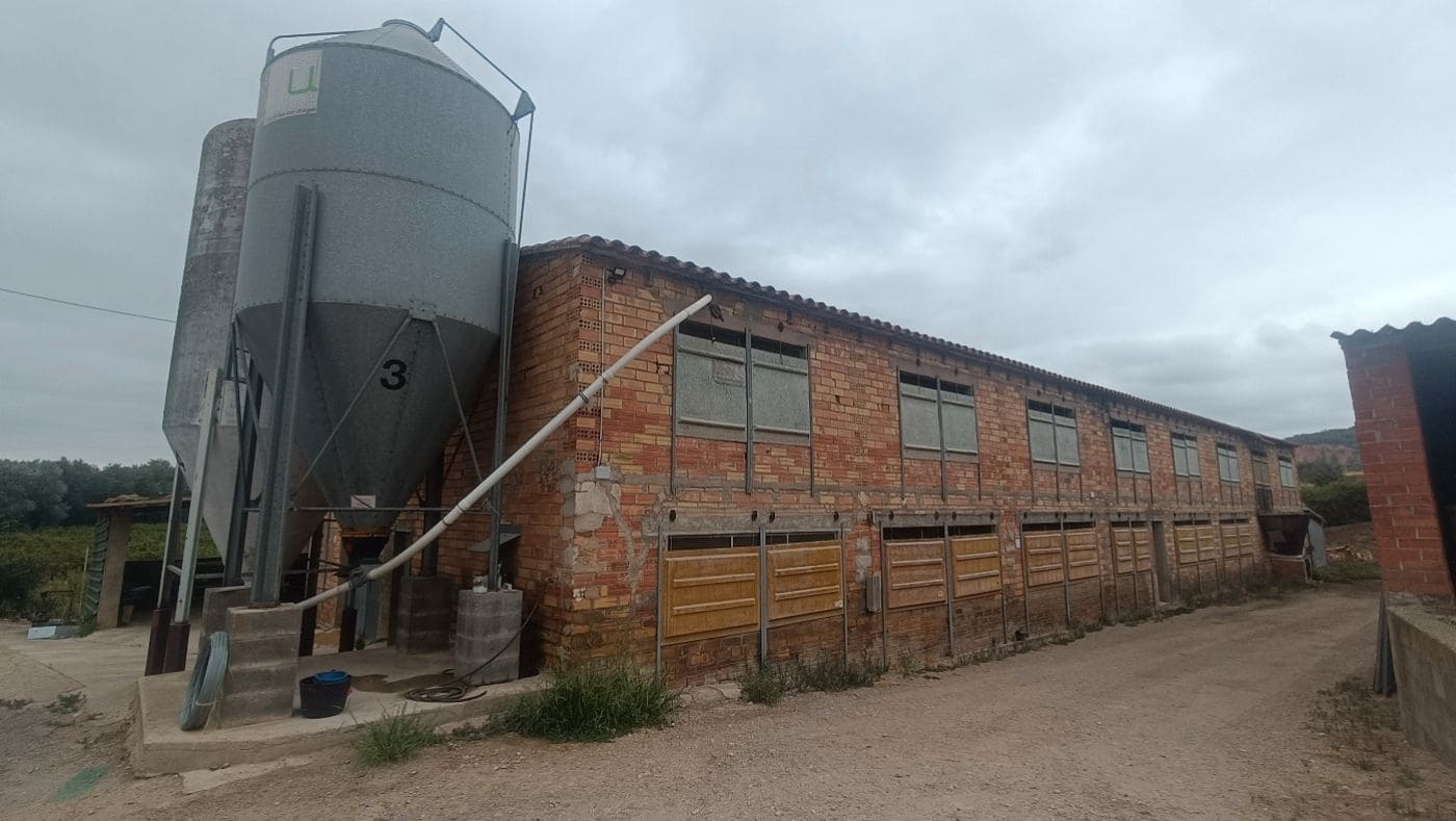 Commercial for sale in Tivissa - € 350,000 (Ref: 9617967)