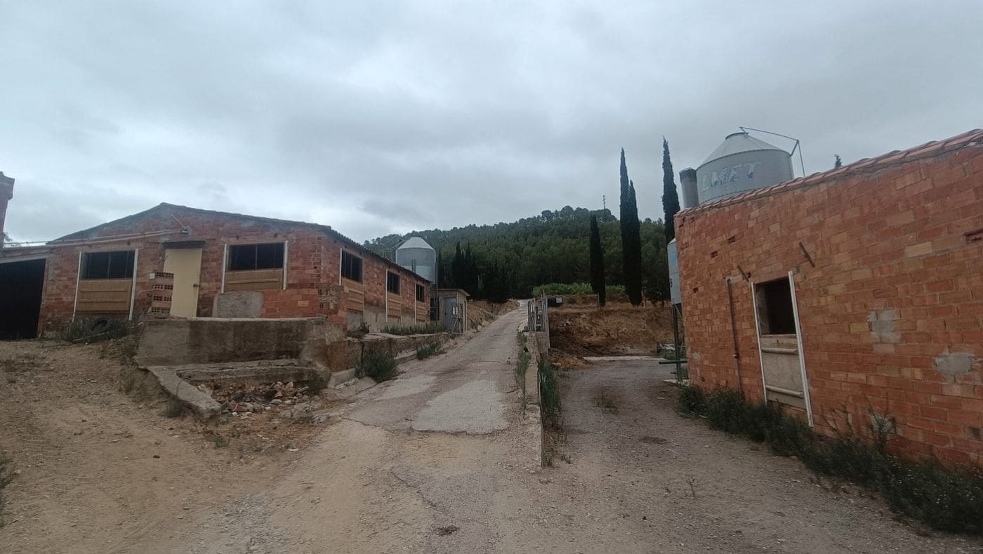 Commercial for sale in Tivissa - € 350,000 (Ref: 9617967)