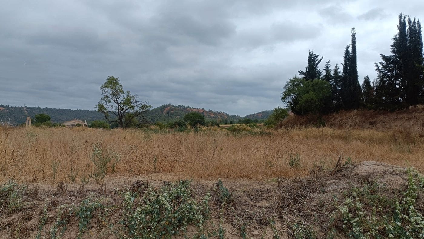 Commercial for sale in Tivissa - € 350,000 (Ref: 9617967)