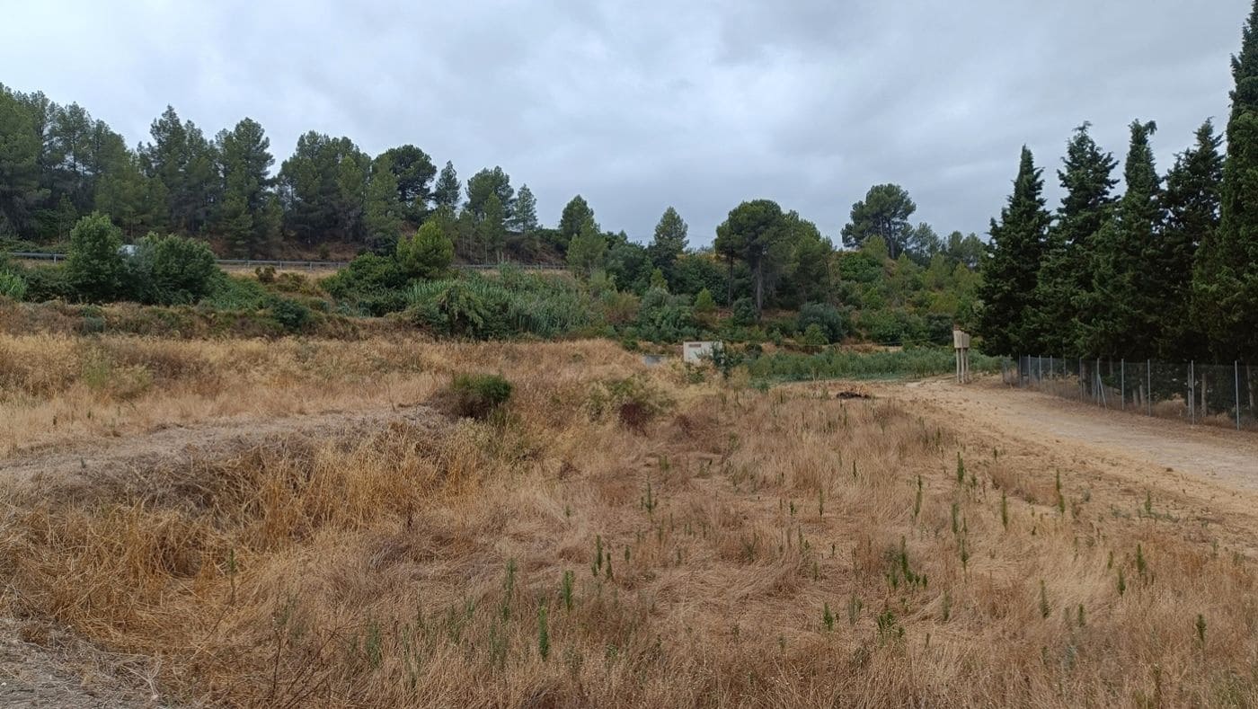 Commercial for sale in Tivissa - € 350,000 (Ref: 9617967)