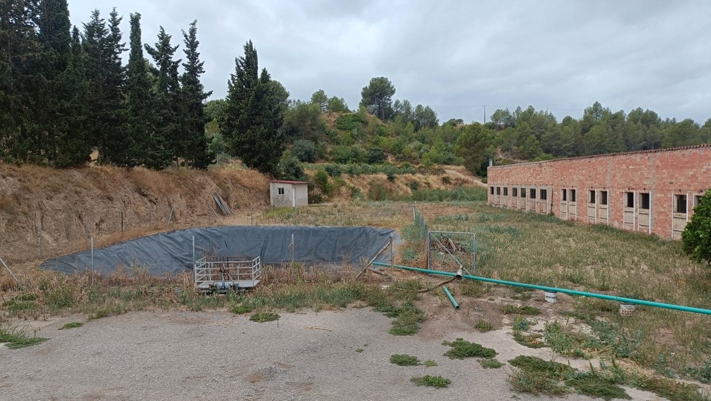 Commercial for sale in Tivissa - € 350,000 (Ref: 9617967)