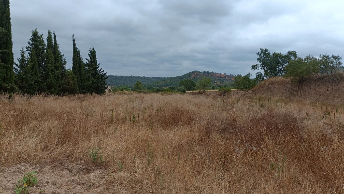 Commercial for sale in Tivissa - € 350,000 (Ref: 9617967)