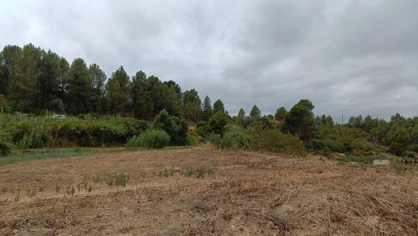 Commercial for sale in Tivissa - € 350,000 (Ref: 9617967)