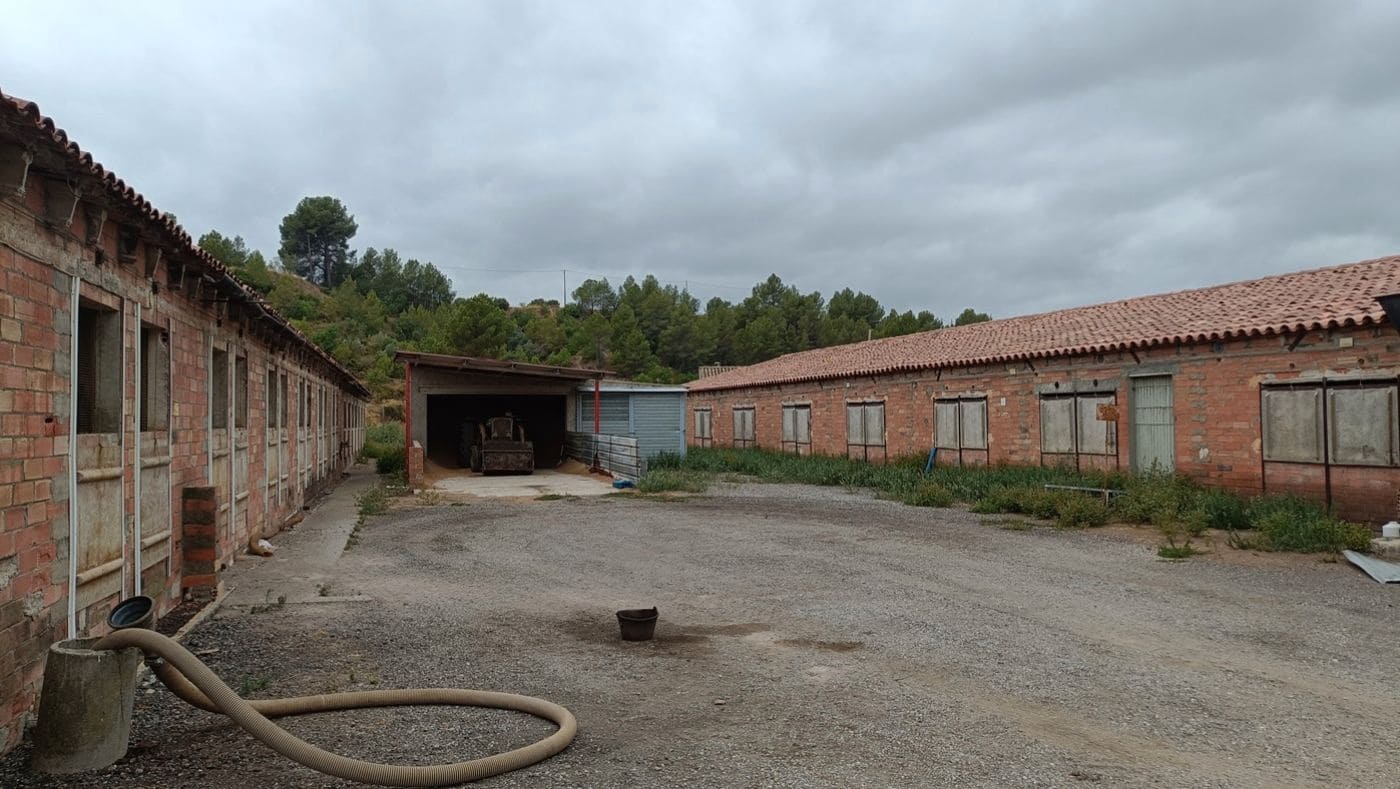 Commercial for sale in Tivissa - € 350,000 (Ref: 9617967)