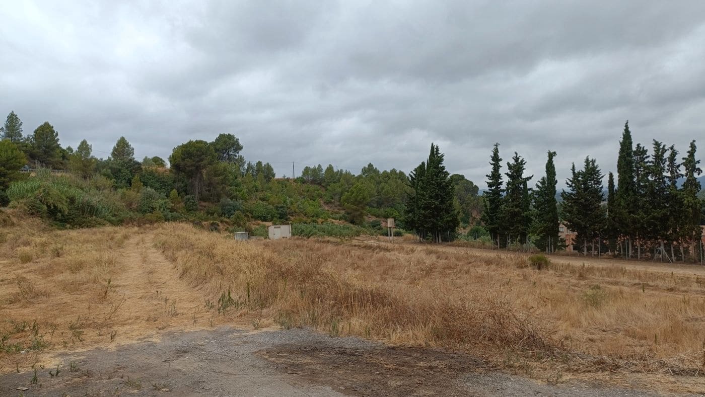 Commercial for sale in Tivissa - € 350,000 (Ref: 9617967)