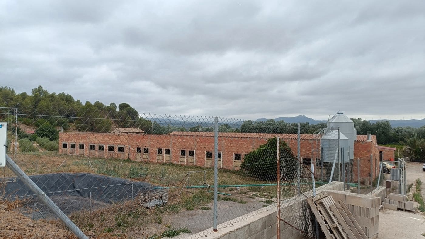 Commercial for sale in Tivissa - € 350,000 (Ref: 9617967)