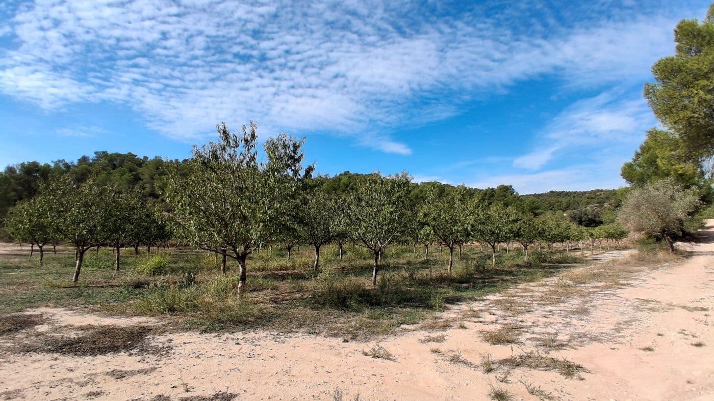 3 soveværelse Finca/Landehus til salg i Flix med garage - € 310.000 (Ref: 9617969)