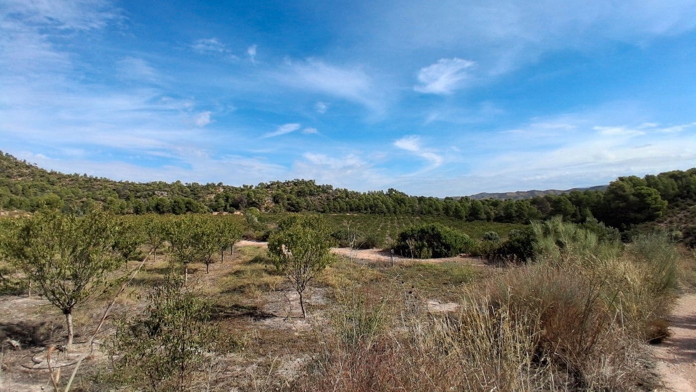 3 soveværelse Finca/Landehus til salg i Flix med garage - € 310.000 (Ref: 9617969)