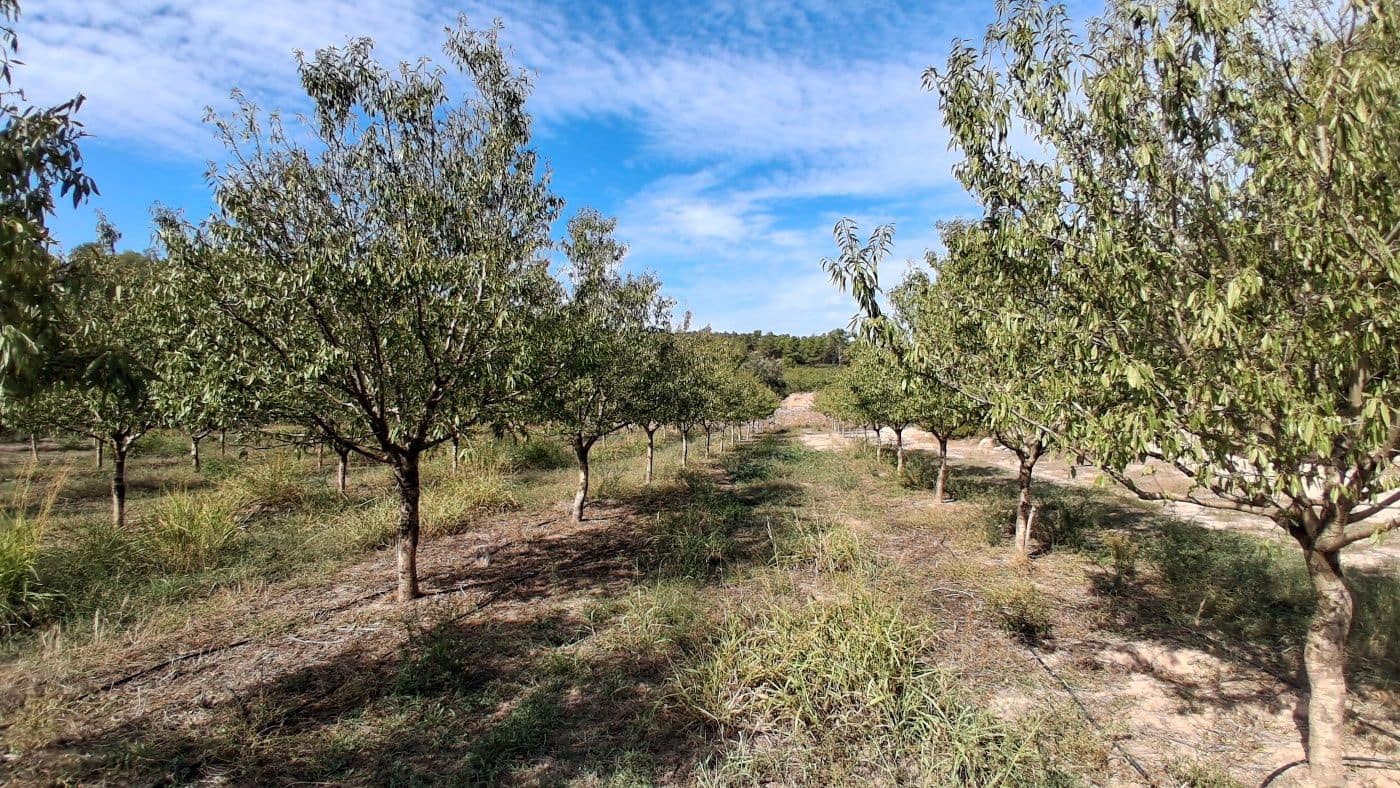 3 soveværelse Finca/Landehus til salg i Flix med garage - € 310.000 (Ref: 9617969)