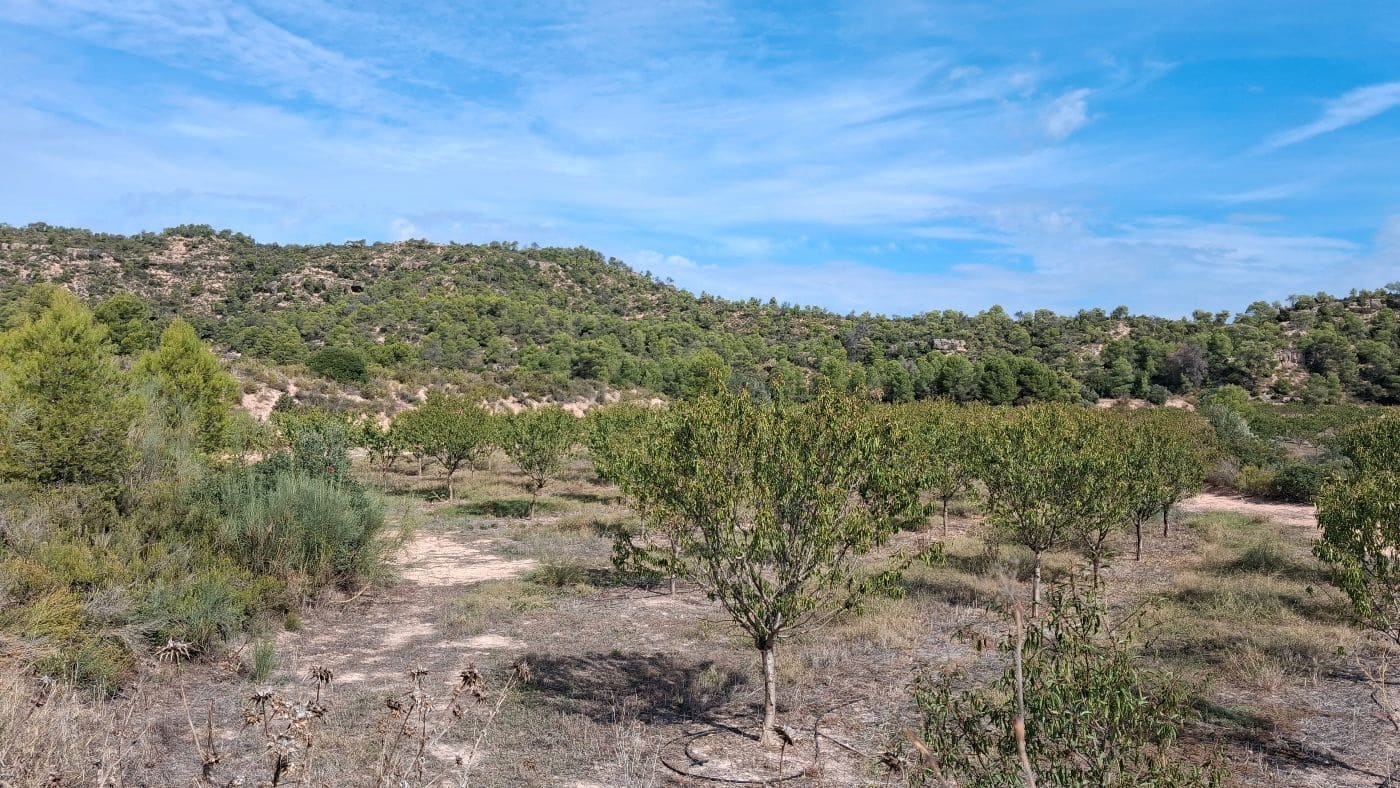 3 soveværelse Finca/Landehus til salg i Flix med garage - € 310.000 (Ref: 9617969)