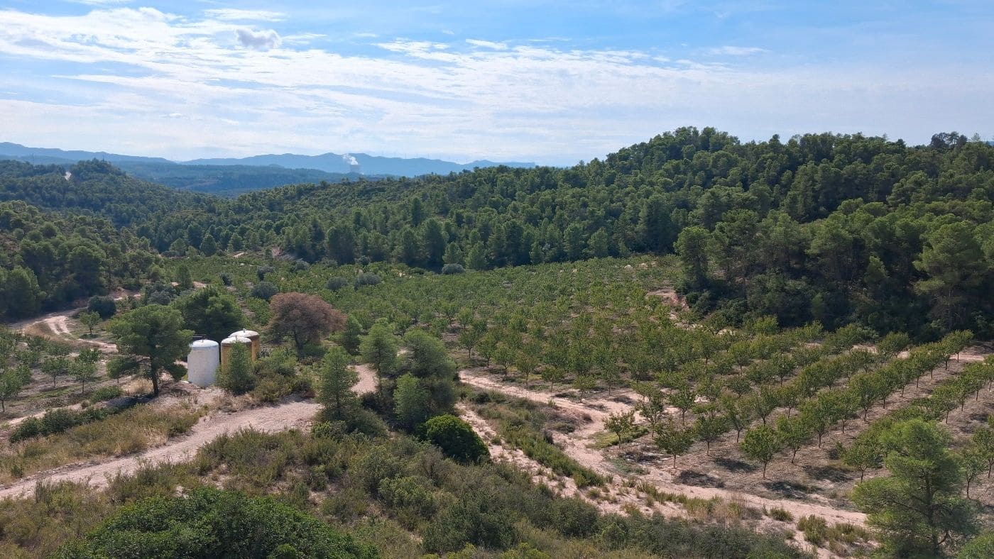 3 soveværelse Finca/Landehus til salg i Flix med garage - € 310.000 (Ref: 9617969)