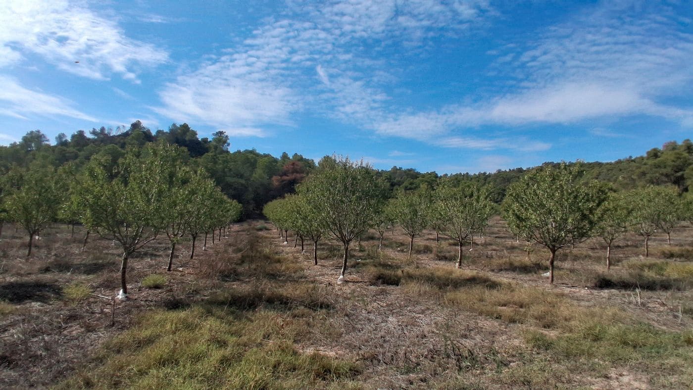 3 soveværelse Finca/Landehus til salg i Flix med garage - € 310.000 (Ref: 9617969)