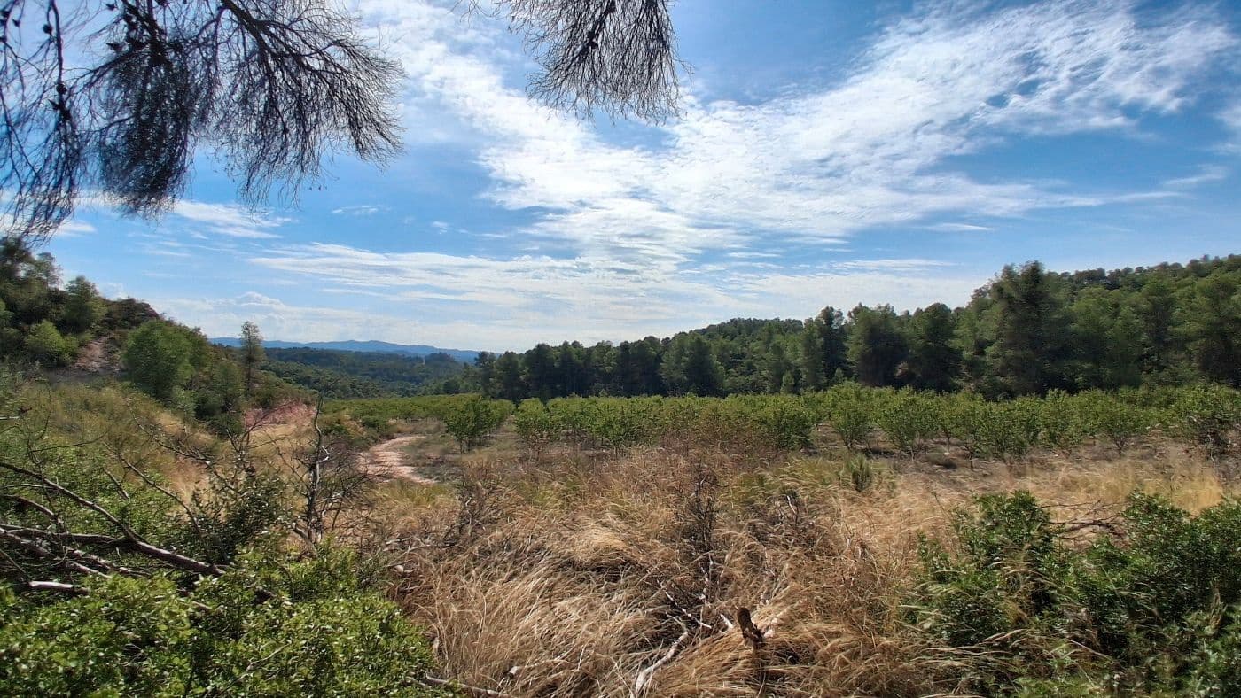 3 soveværelse Finca/Landehus til salg i Flix med garage - € 310.000 (Ref: 9617969)