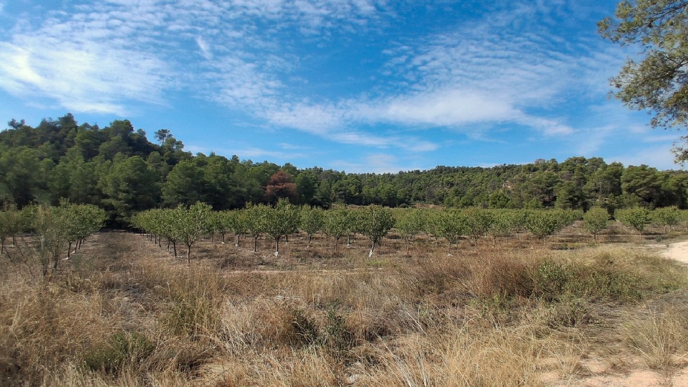 3 soveværelse Finca/Landehus til salg i Flix med garage - € 310.000 (Ref: 9617969)