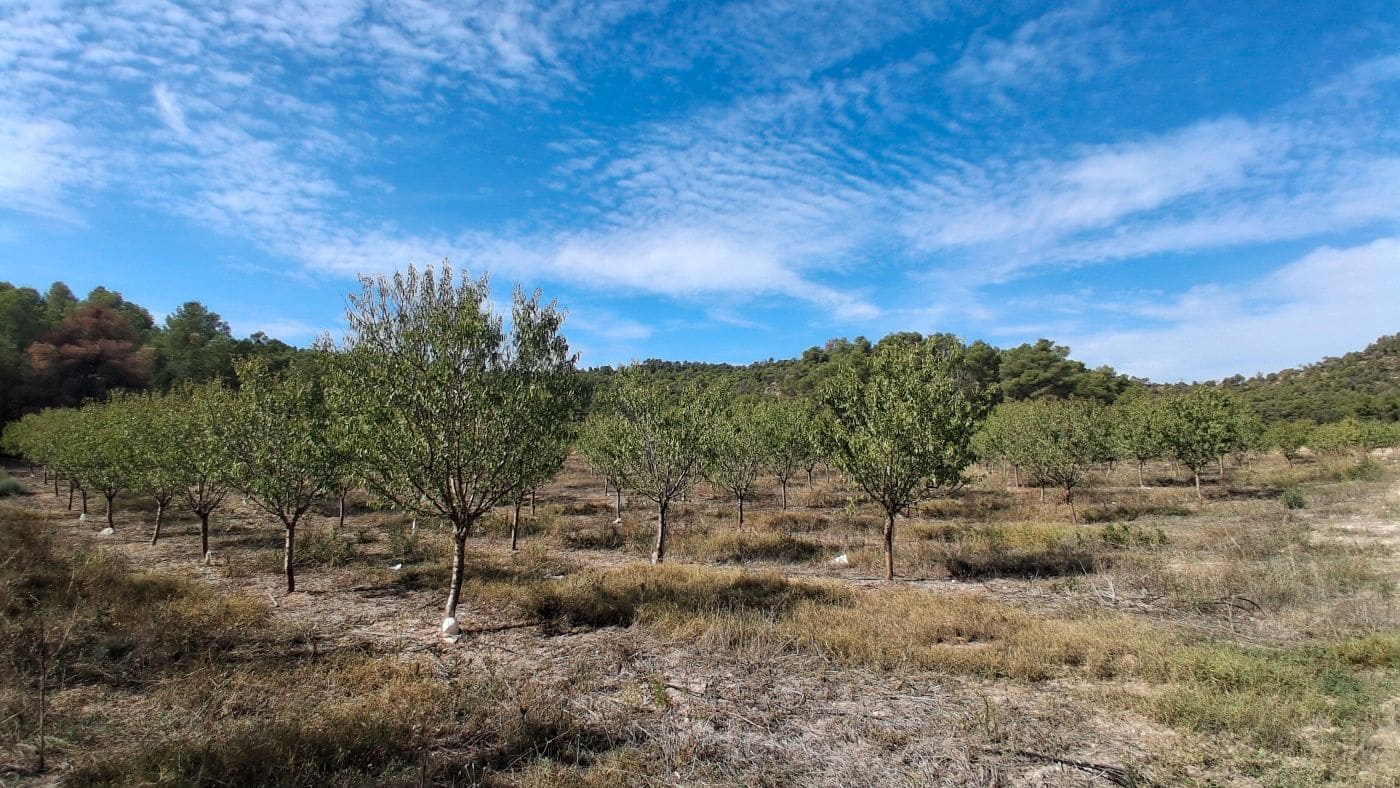 3 soveværelse Finca/Landehus til salg i Flix med garage - € 310.000 (Ref: 9617969)