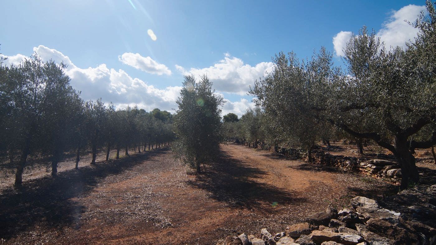 1 sypialnia Finka/Dom wiejski na sprzedaż w Tivissa - 75 000 € (Ref: 9617970)