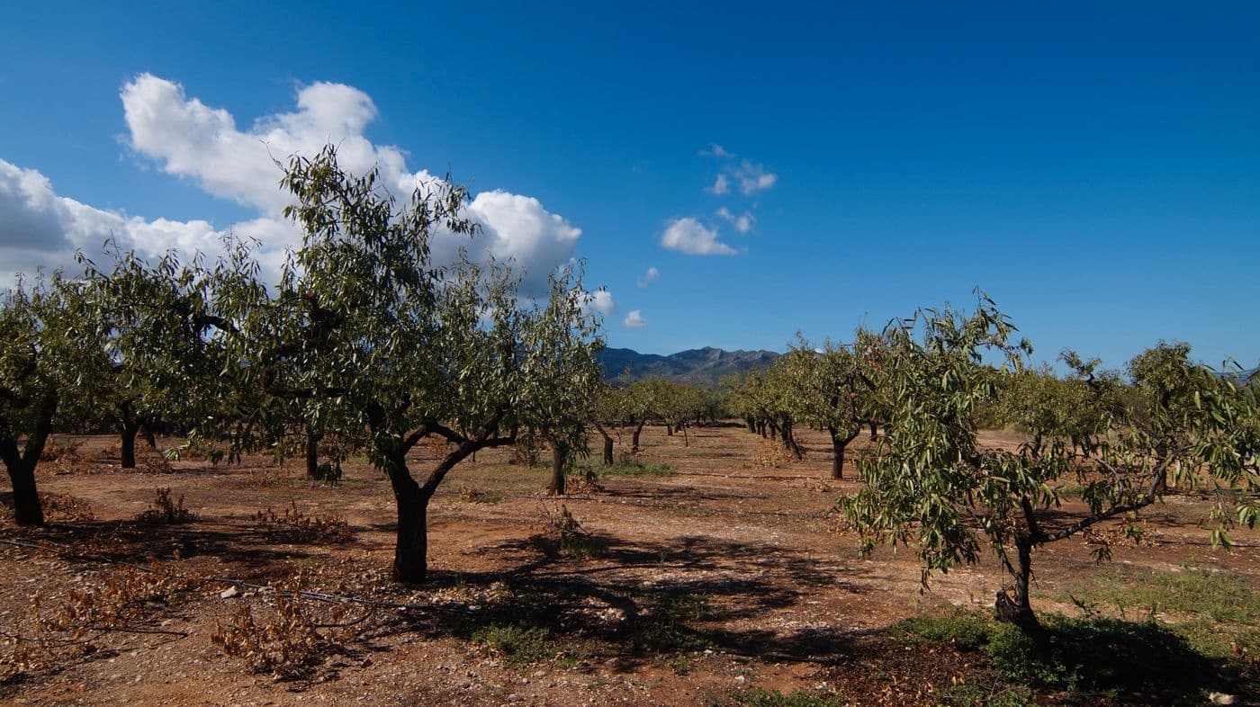 1 sypialnia Finka/Dom wiejski na sprzedaż w Tivissa - 75 000 € (Ref: 9617970)