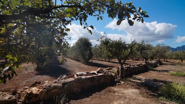 1 sypialnia Finka/Dom wiejski na sprzedaż w Tivissa - 75 000 € (Ref: 9617970)