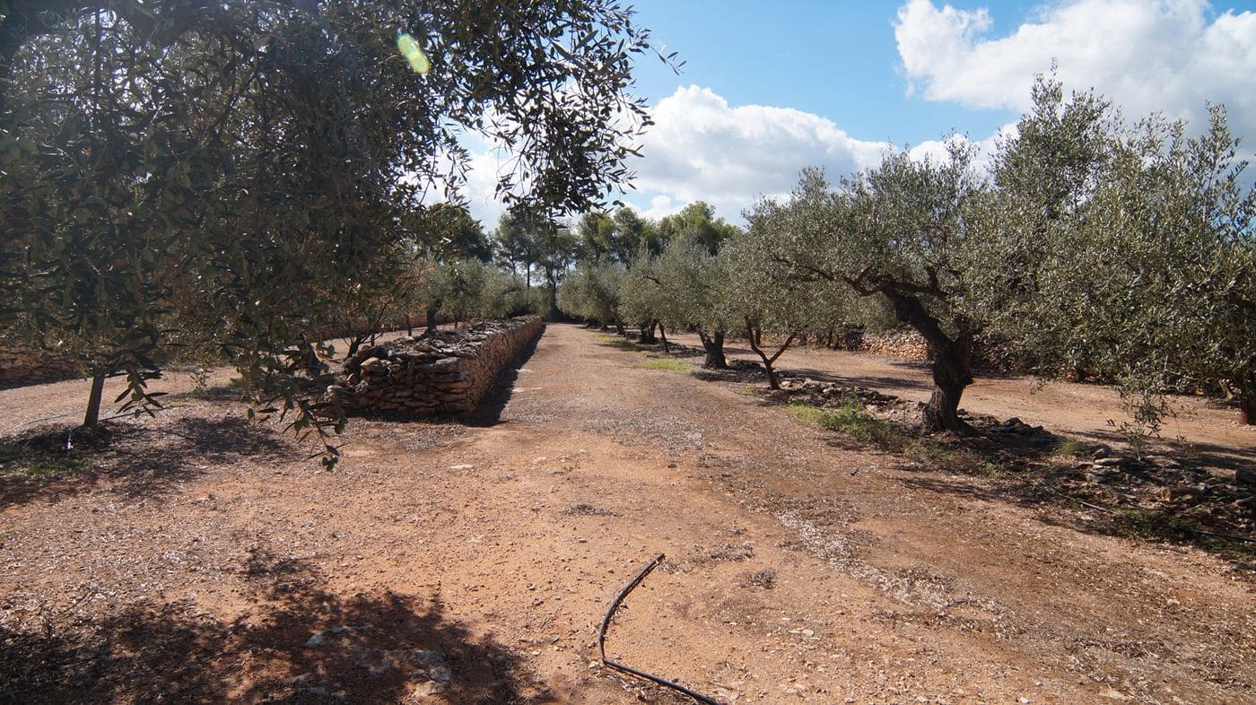 1 sypialnia Finka/Dom wiejski na sprzedaż w Tivissa - 75 000 € (Ref: 9617970)