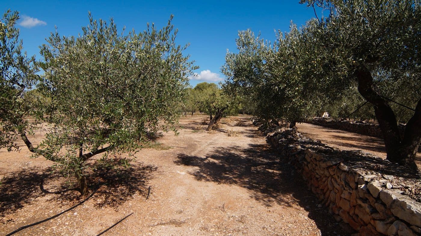 1 sypialnia Finka/Dom wiejski na sprzedaż w Tivissa - 75 000 € (Ref: 9617970)