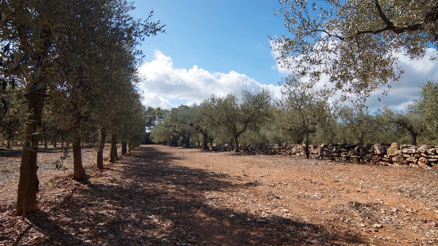 1 sypialnia Finka/Dom wiejski na sprzedaż w Tivissa - 75 000 € (Ref: 9617970)