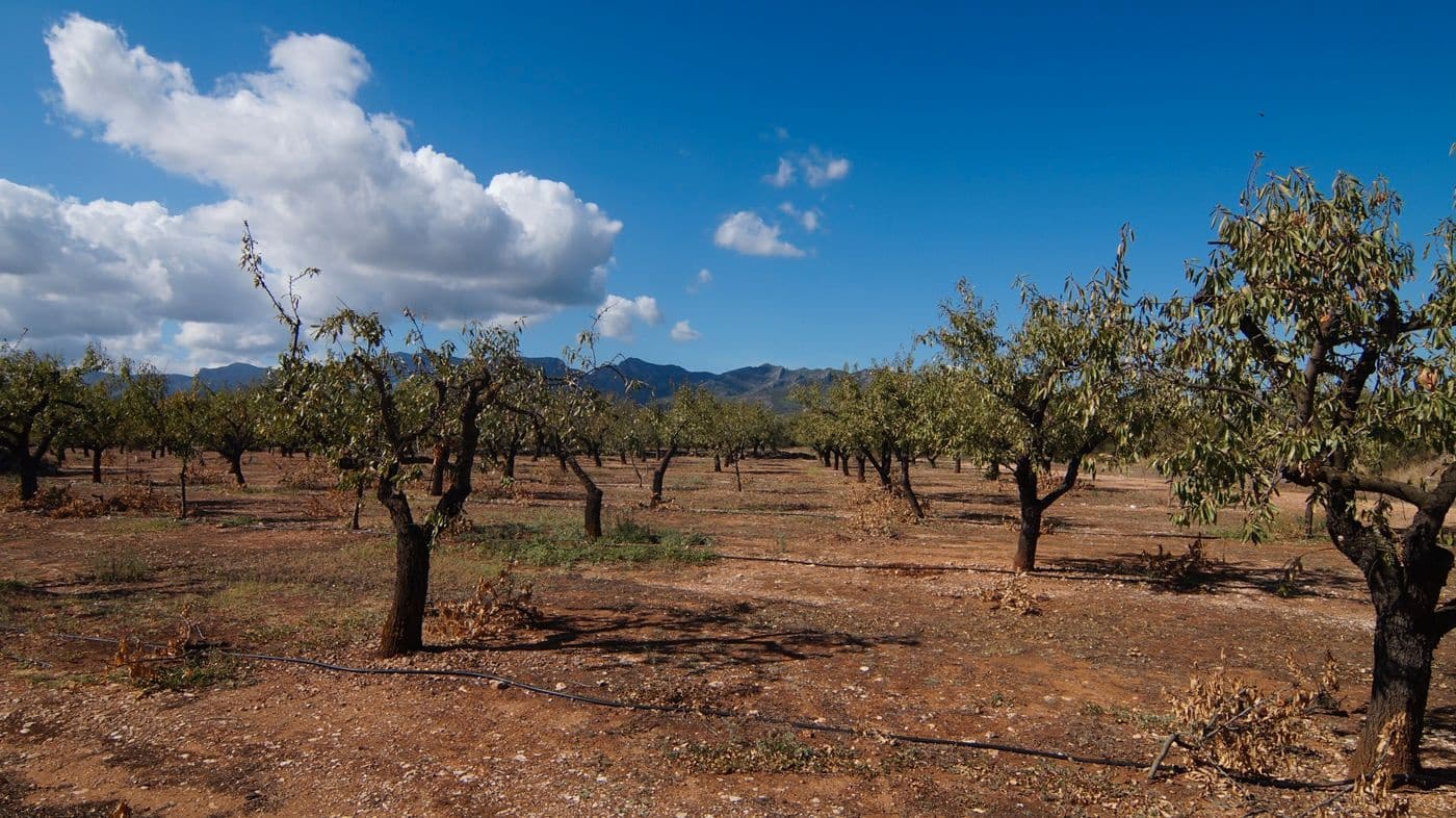 1 sypialnia Finka/Dom wiejski na sprzedaż w Tivissa - 75 000 € (Ref: 9617970)