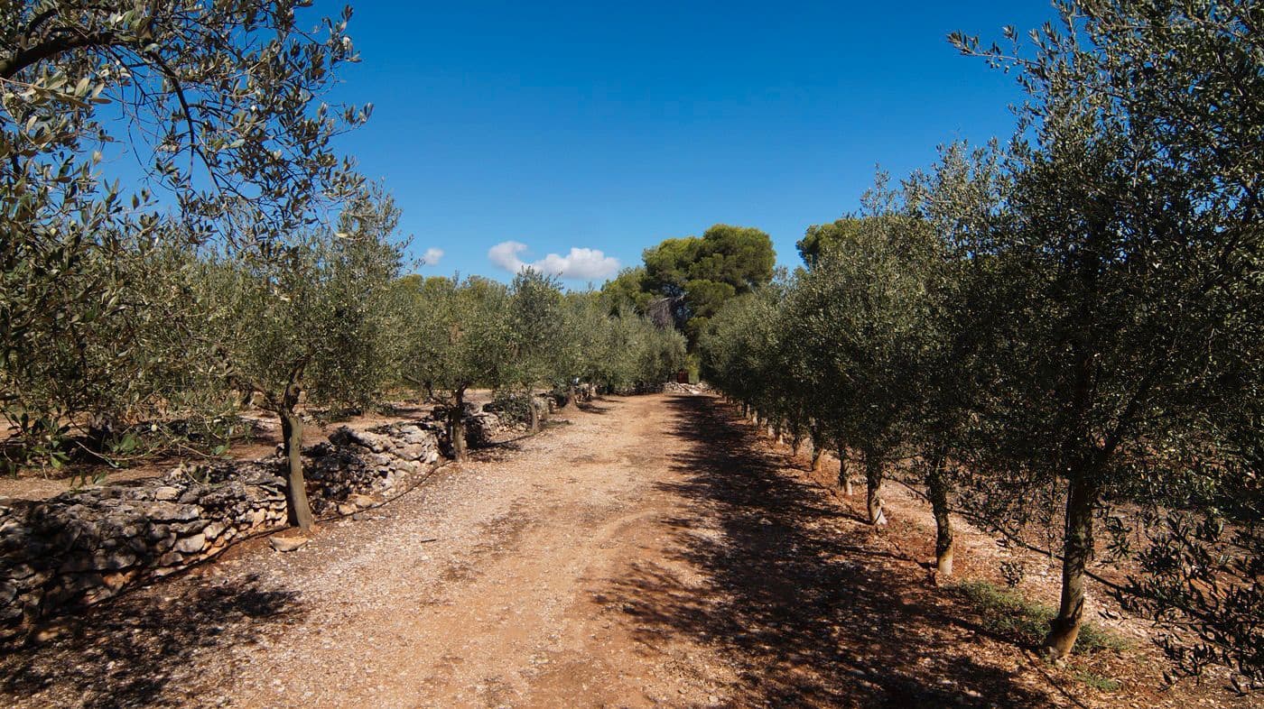 1 sypialnia Finka/Dom wiejski na sprzedaż w Tivissa - 75 000 € (Ref: 9617970)