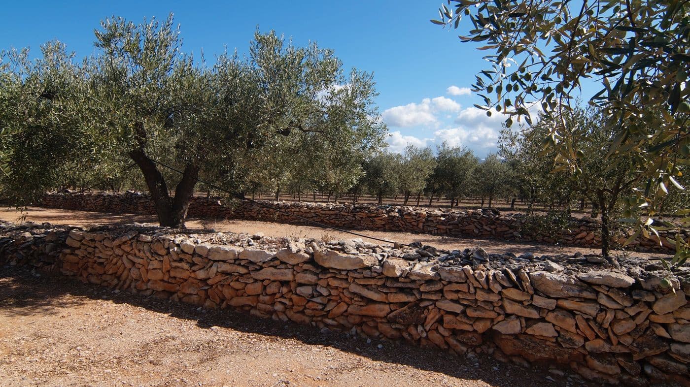 1 sypialnia Finka/Dom wiejski na sprzedaż w Tivissa - 75 000 € (Ref: 9617970)