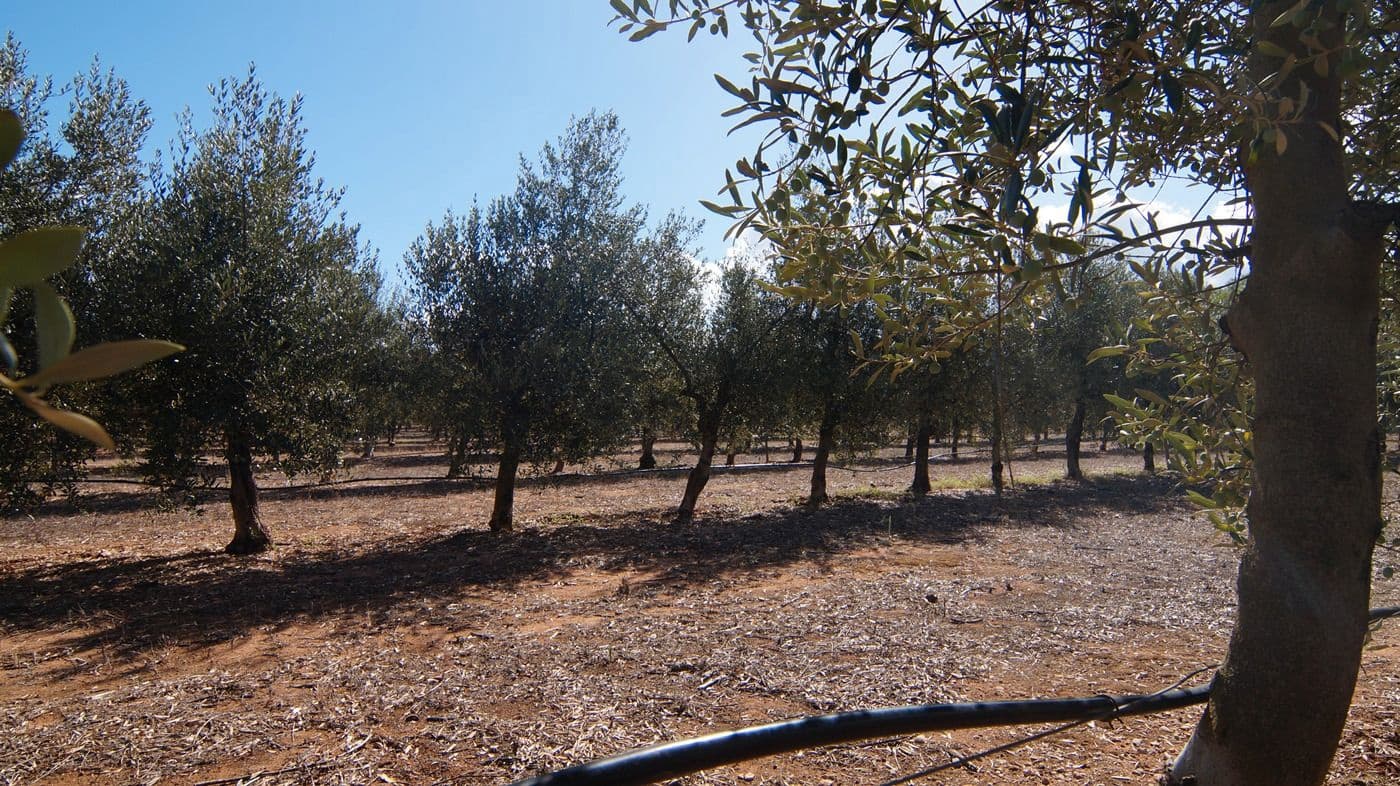 1 sypialnia Finka/Dom wiejski na sprzedaż w Tivissa - 75 000 € (Ref: 9617970)